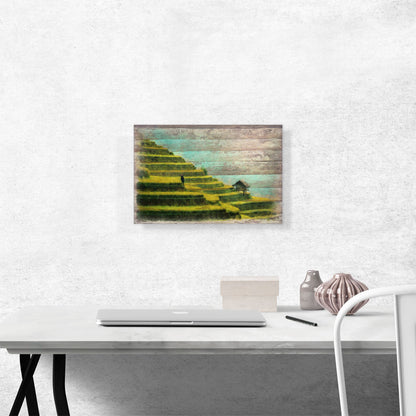Rice Fields Modern Art Home decor