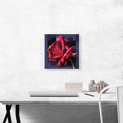 Rose Paint Modern Home decor