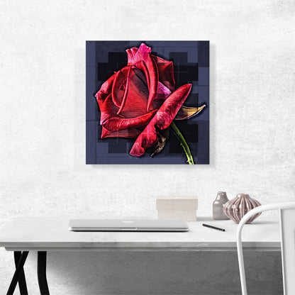 Rose Paint Modern Home decor