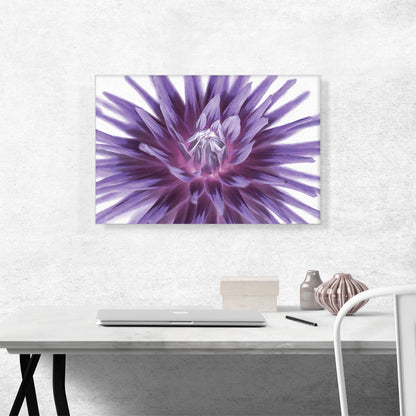 Big Purple Flower Home decor