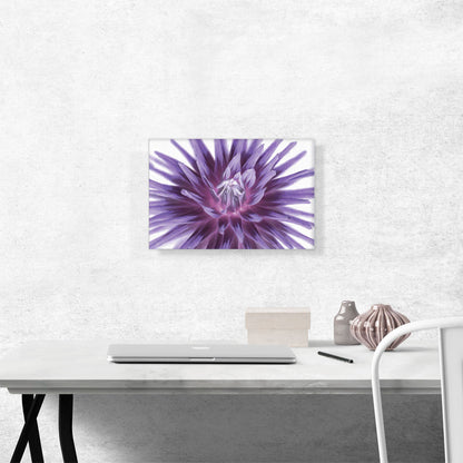 Big Purple Flower Home decor