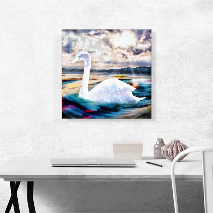 Swan Paint Home decor