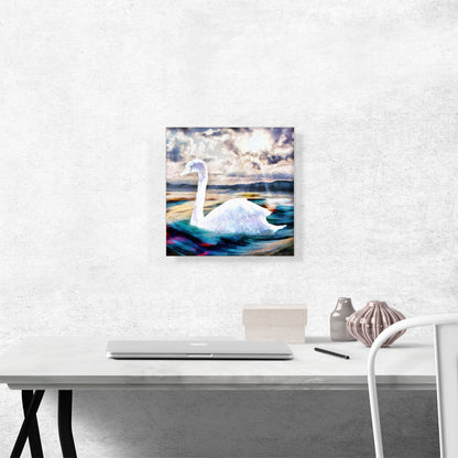 Swan Paint Home decor