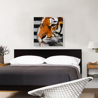 Tiger Color Paint Home decor