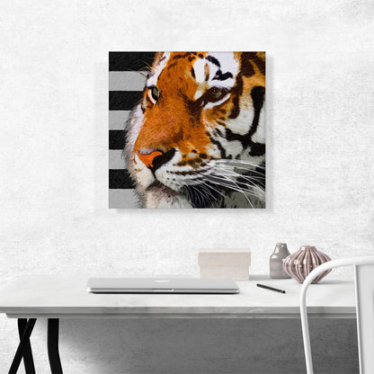 Tiger Color Paint Home decor