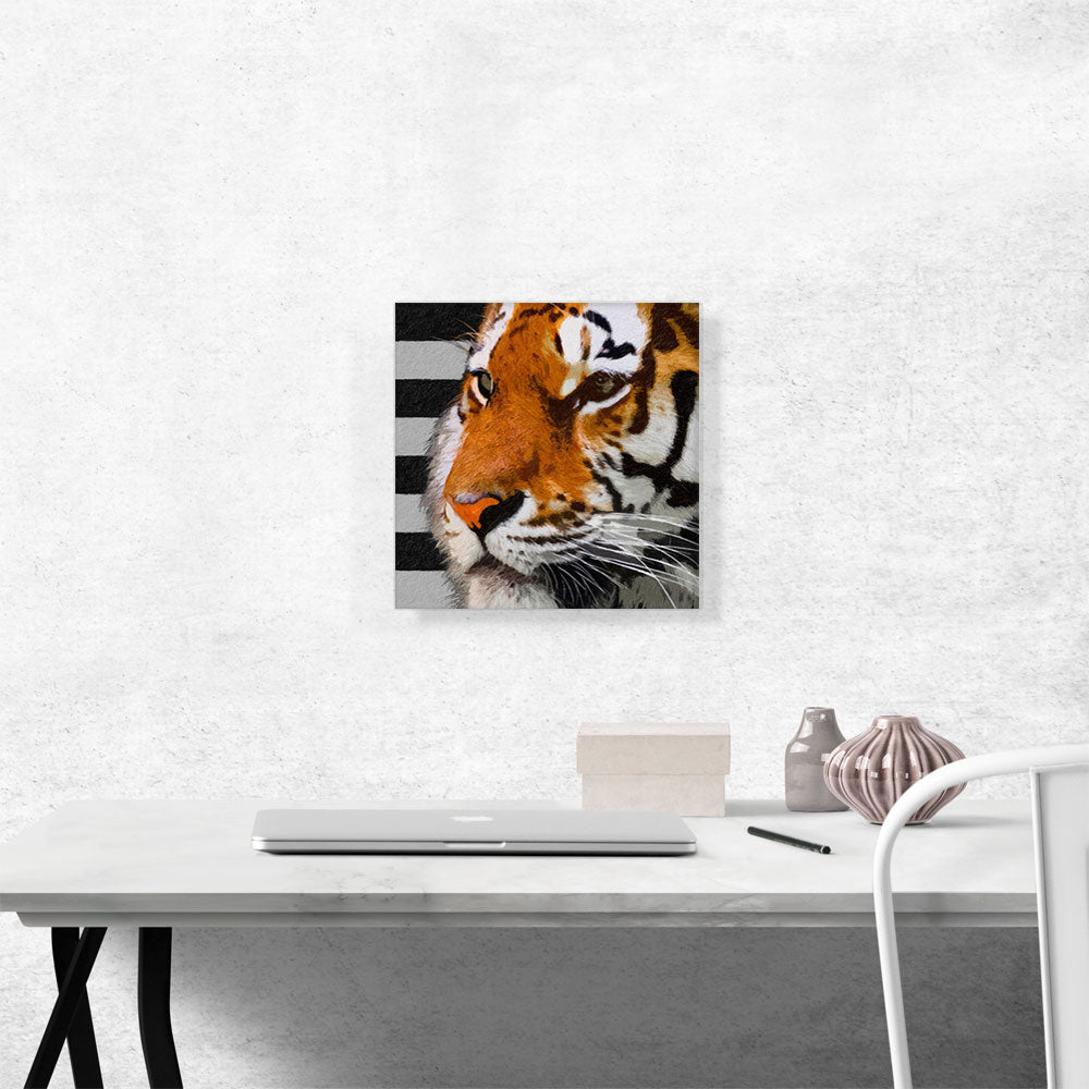 Tiger Color Paint Home decor