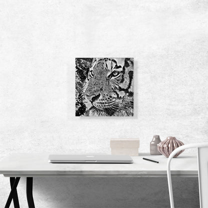 Tiger Paint Home decor