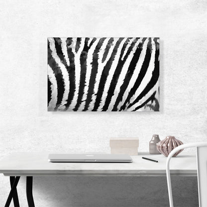 Zebra Painted Home decor