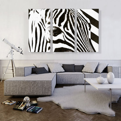 Zebra Stripes Painted Home decor