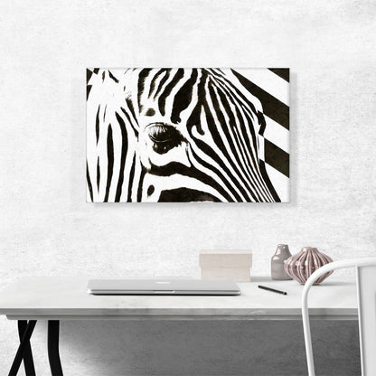 Zebra Stripes Painted Home decor