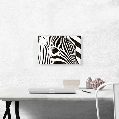 Zebra Stripes Painted Home decor