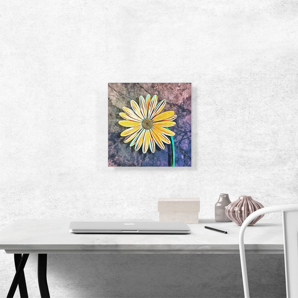 Chamomile Home decor