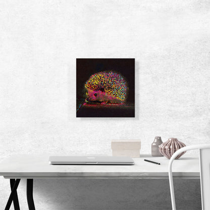Colorful Hedgehog Home decor