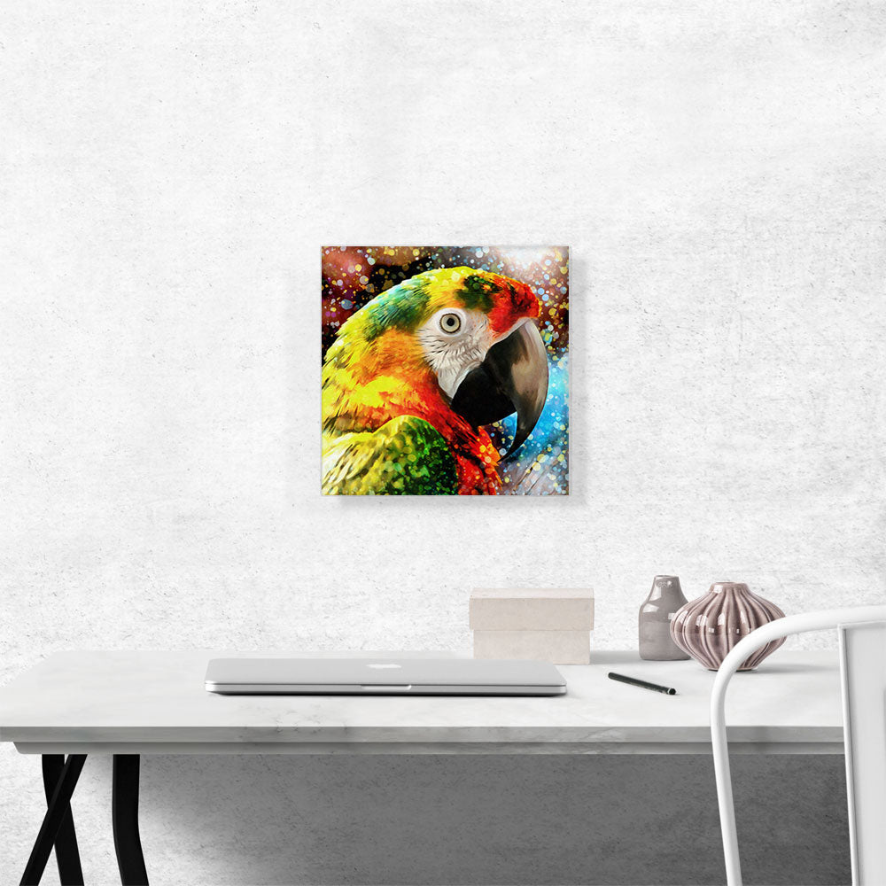 Macaw Modern Home decor