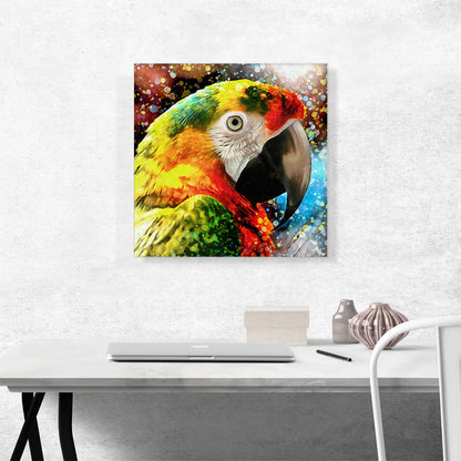 Macaw Modern Home decor