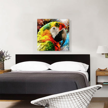 Macaw Modern Home decor