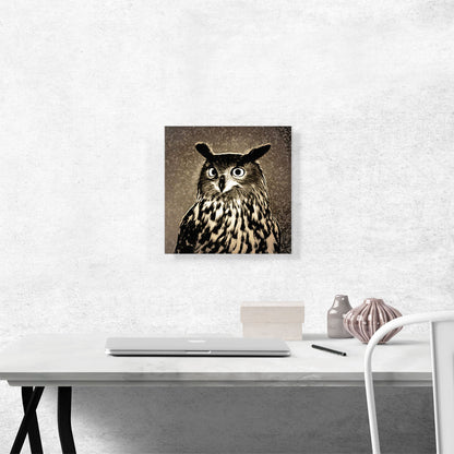 Owl Painting Home decor