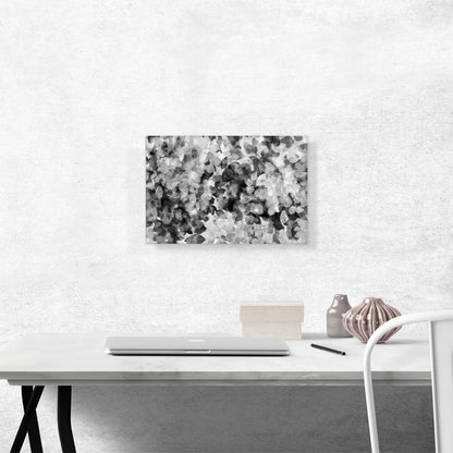 Black Gray White Petals Rectangle