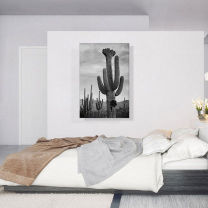 Full View of Cactus - Saguaro National Monument - Arizona