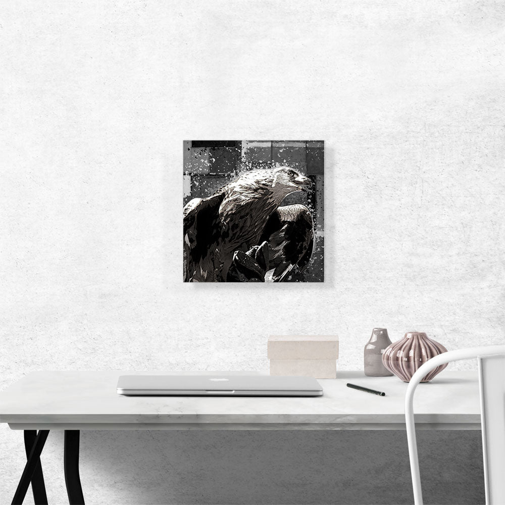 Golden Eagle of Albania Black White
