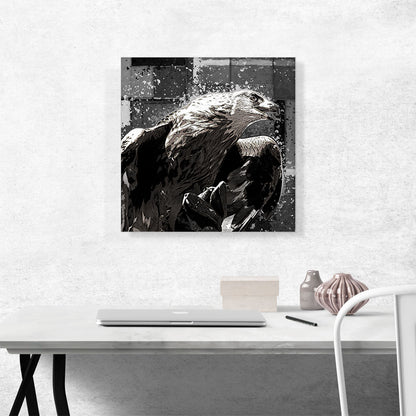 Golden Eagle of Albania Black White