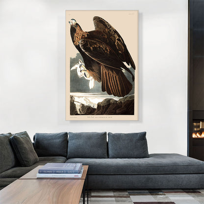 Golden Eagle