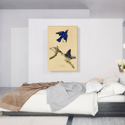Blue Bird