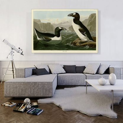 Great Auk - Pinguinus Impennis