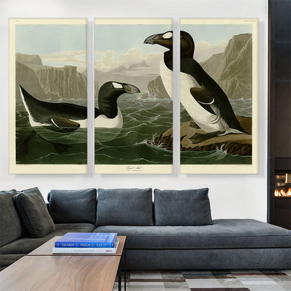 Great Auk - Pinguinus Impennis