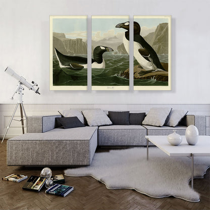 Great Auk - Pinguinus Impennis