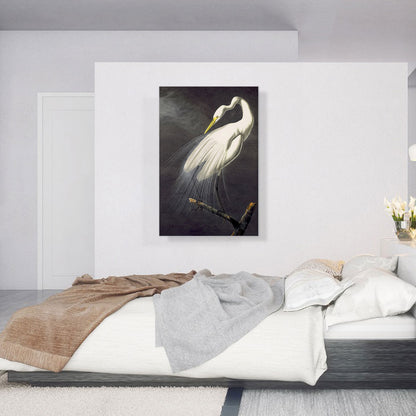 Great Egret