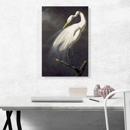Great Egret