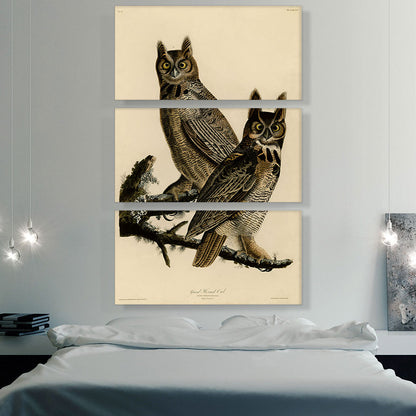 Great Horned Owl