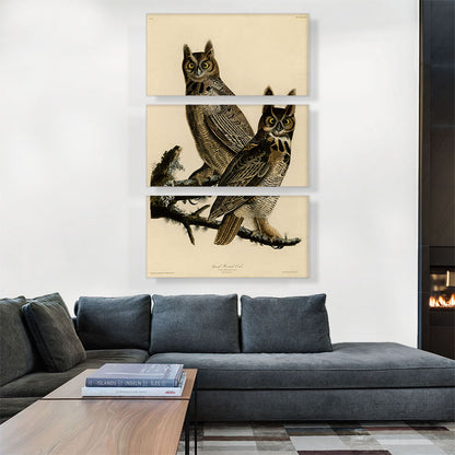 Great Horned Owl