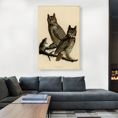 Great Horned Owl