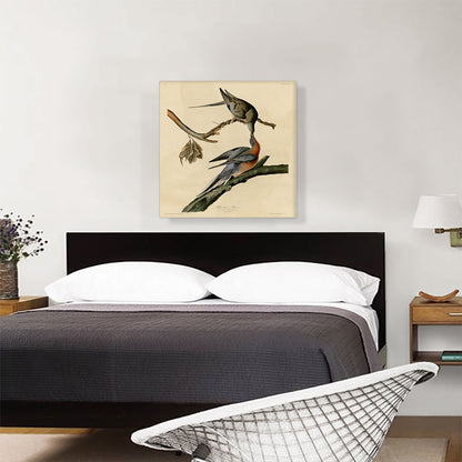 Passenger Pigeon
