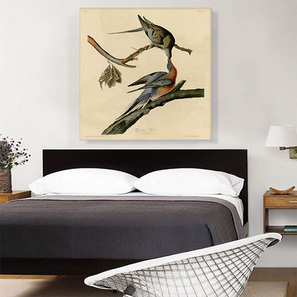 Passenger Pigeon