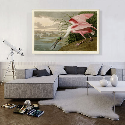 Roseate Spoonbill