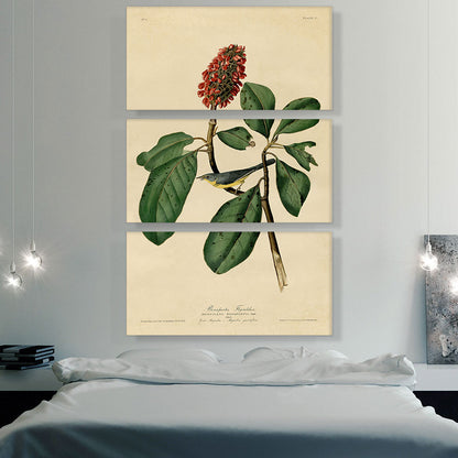Warbler Bird on a Magnolia Branch