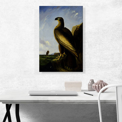 Washington Sea Eagle
