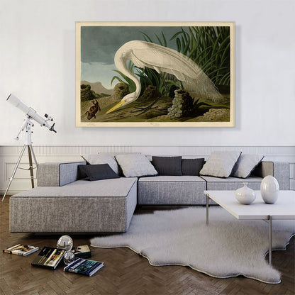 White Heron