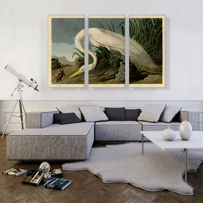 White Heron