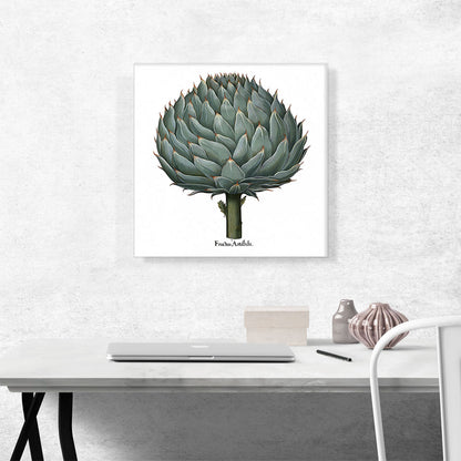Artichoke 1613