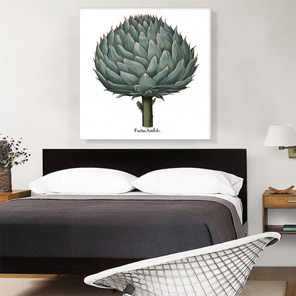 Artichoke 1613