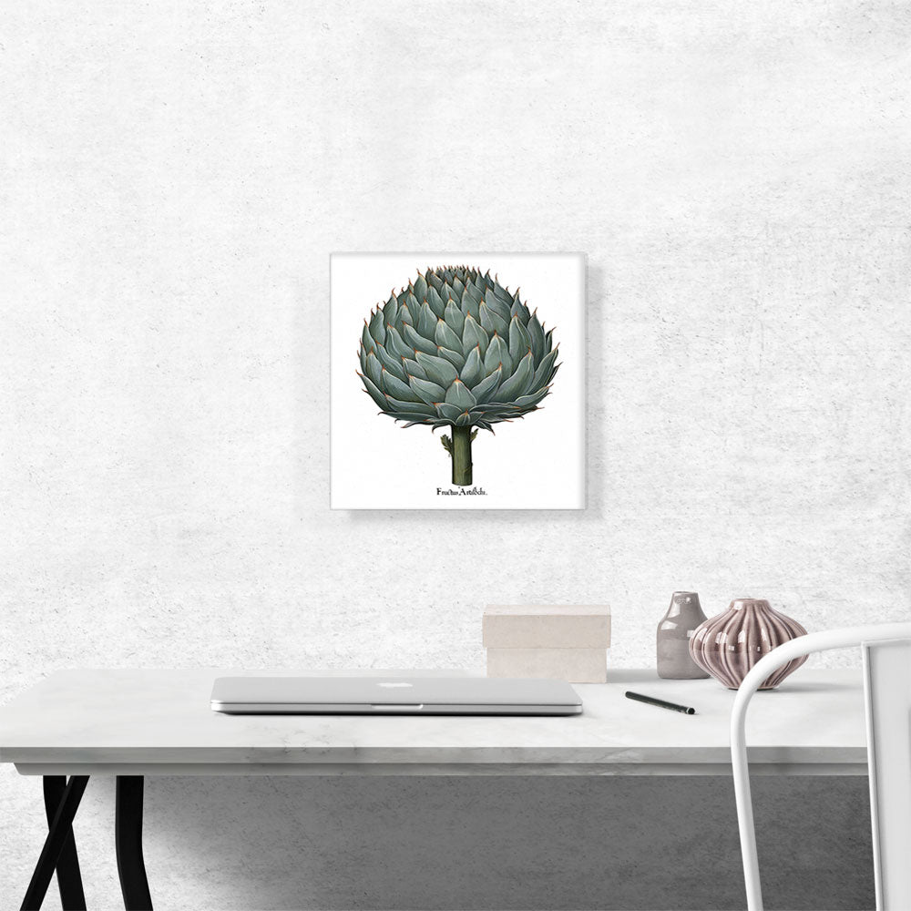 Artichoke 1613