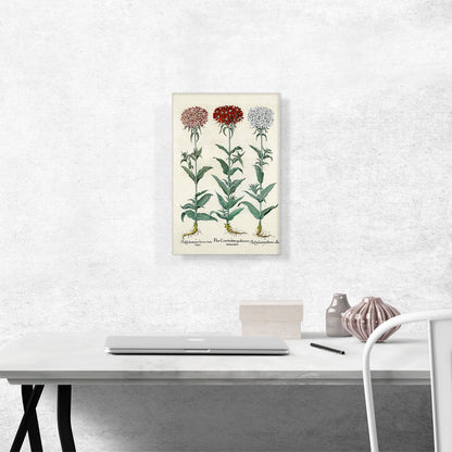 Florilegium IV