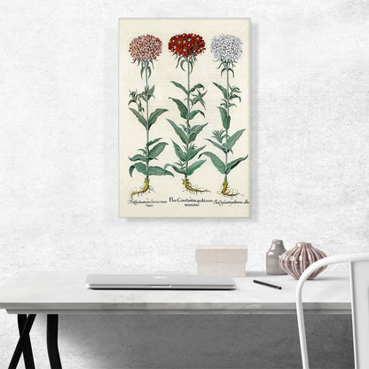 Florilegium IV