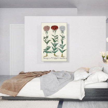 Florilegium IV