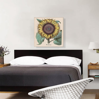 Large Sunflower