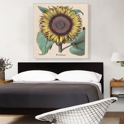 Large Sunflower